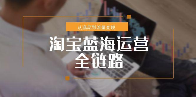 淘宝蓝海运营全链路，从选品到流量变现，小类目突围完整方案-独家科技资源网