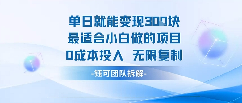 单日就能变现3张最适合小白做的项目0成本投入 无限复制-独家科技资源网
