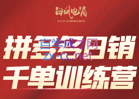 白凤电商·拼多多日销千单训练营(更新3月)-独家科技资源网