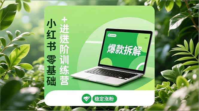 小红书零基础+高阶训练营:安全养号、爆款拆解、长效运营,实现稳定涨粉与变现-独家科技资源网