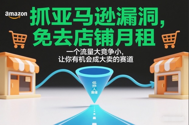 抓亚马逊漏洞，免去店铺月租，一个流量大竞争小，让你有机会成大卖的赛道-独家科技资源网