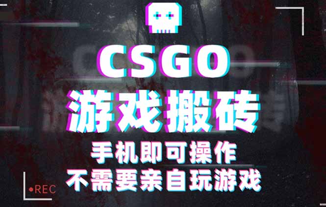CSGO游戏挂机捡漏，单日扫货500+，年底小高峰上车可吃肉，手机即可操作…-独家科技资源网