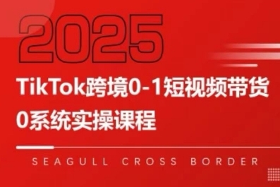 TikTok跨境0-1短视频带货，系统拆解TikTok跨境带货全链路，实现跨境可持续盈利-独家科技资源网
