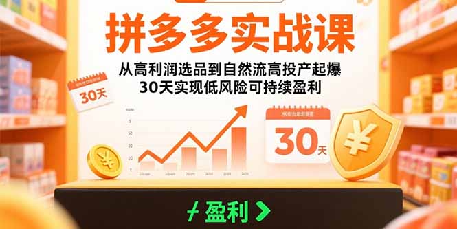拼多多实战课：从高利润选品到自然流高投产起爆 30天实现低风险可持续盈利-独家科技资源网