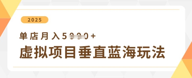 虚拟项目垂直玩法，实现单店月入5k+-独家科技资源网