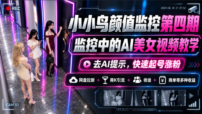 小小鸟颜值监控第四期，监控中的AI美女视频教学，去AI提示，快速起号涨粉，网盘拉新+商K引流+收徒+商单等多种收益-独家科技资源网