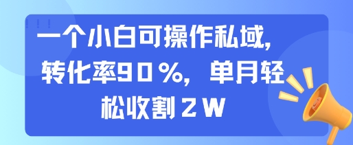 一个小白可操作私域，转化率90%，单月轻松收割2W-独家科技资源网