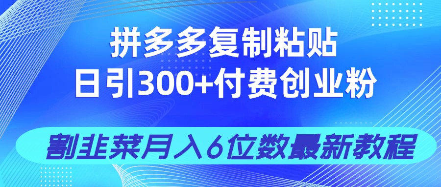 拼多多复制粘贴日引300+付费创业粉，割韭菜月入6位数最新教程！-独家科技资源网