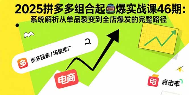 2025拼多多组合起爆实战课46期：系统解析从单品裂变到全店爆发的完整路径-独家科技资源网