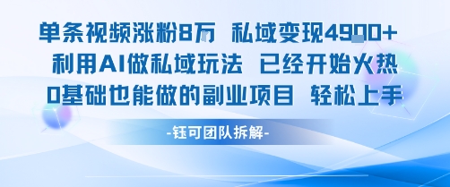 单条视频私域变现4.9k+利用AI做私域玩法 已经开始火热0基础也能做的副业项目轻松上手-独家科技资源网