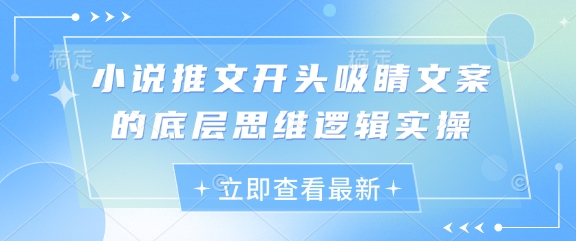 小说推文开头吸睛文案的底层思维逻辑实操-独家科技资源网