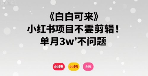 小白可来 小红书项目不需要剪辑 单月3w不是问题-独家科技资源网