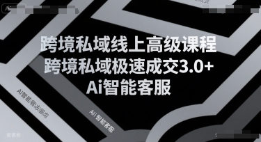 跨境私域线上高级课程，跨境私域极速成交3.0+Ai智能客服-独家科技资源网