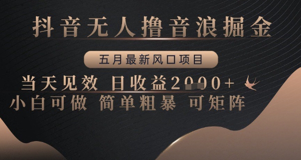 抖音无人撸音浪掘金，五月最新风口项目，当天见效，日收益多张，小白可做简单粗暴可矩阵【揭秘】-独家科技资源网