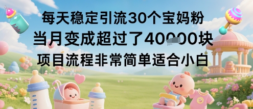 每天稳定引流30个宝妈粉当月变成超过了1W+项目流程非常简单适合小白-独家科技资源网