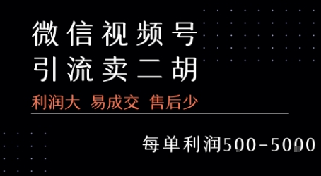 视频号卖二胡教程，利润大 易成交 售后少，一单利润5张+-独家科技资源网
