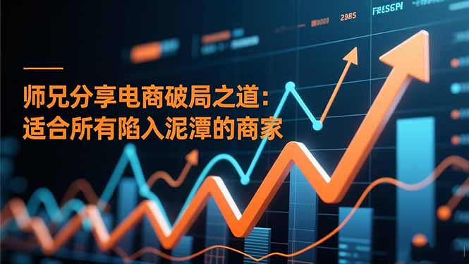 师兄分享电商破局之道:适合所有陷入泥潭的商家-独家科技资源网
