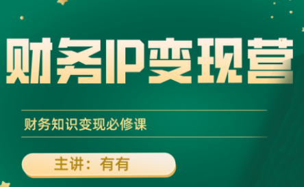 有有老师·财务IP变现营，财务知识变现必修课-独家科技资源网