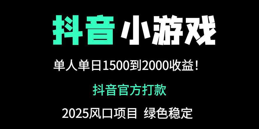 抖音官方小游戏2025全网最新玩法，暴利赚钱项目，单机日入2000+-独家科技资源网