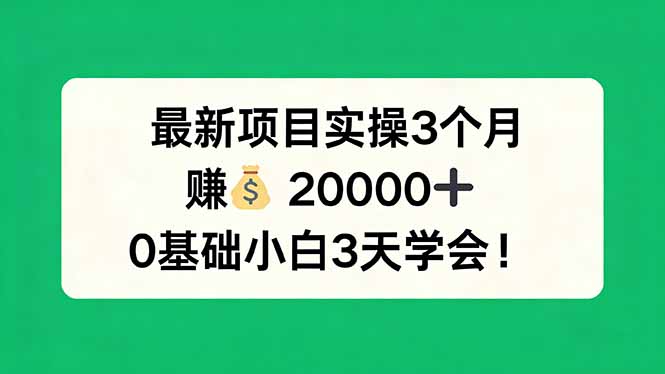最新项目实操3个月，赚钱20000+，0基础小白3天学会！-独家科技资源网