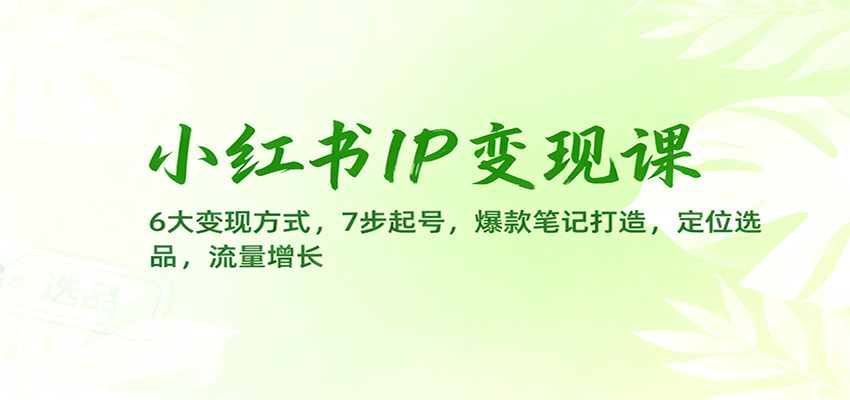 小红书IP变现课：6大变现方式，7步起号，爆款笔记打造，定位选品，流量增长-独家科技资源网
