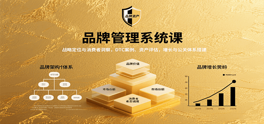 品牌管理系统课：战略定位与消费者洞察，DTC案例、资产评估，增长与公关体系搭建-独家科技资源网