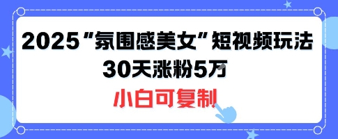 不露脸也能火！2025“氛围感美女”短视频玩法，30天涨粉5W小白可复制-独家科技资源网