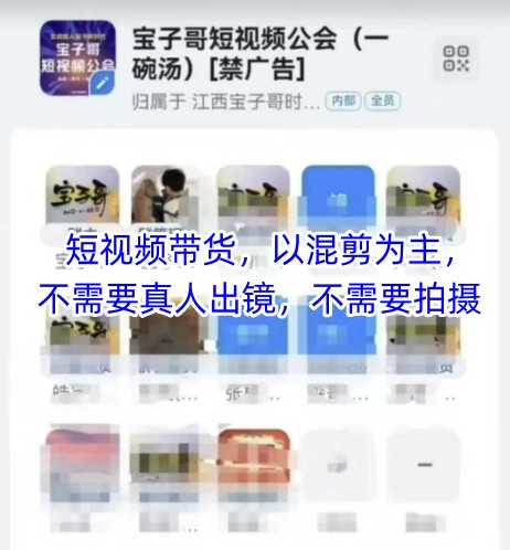 宝子哥头部团队短视频带货，以混剪为主，不需要真人出镜，不需要拍摄-独家科技资源网