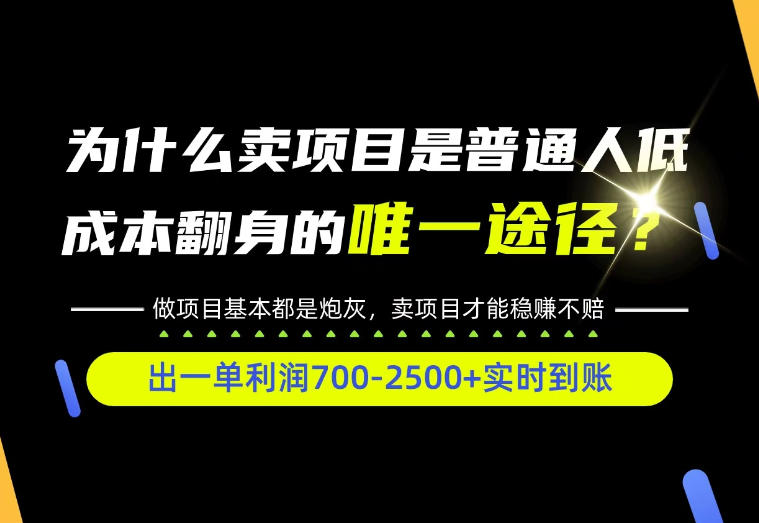 普通人如何靠互联网賺取自己的第一桶金!全类目实操型教学,看完你全都懂了!【揭秘】-独家科技资源网