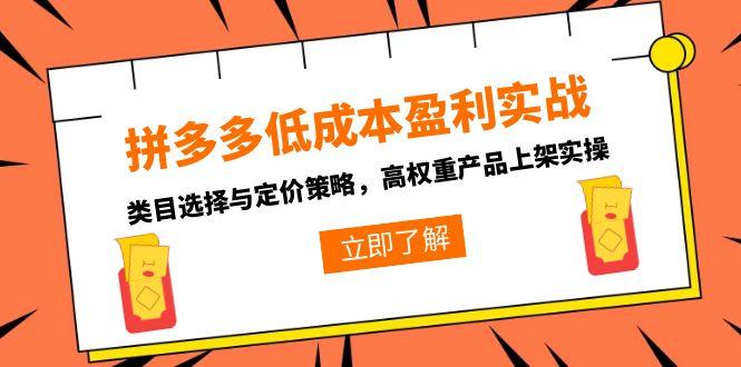 拼多多低成本盈利实战，类目选择与定价策略，高权重产品上架实操-独家科技资源网
