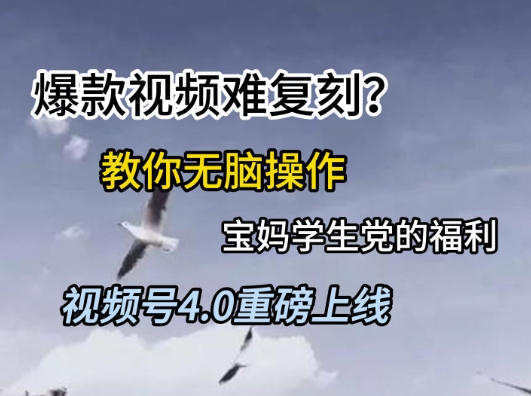 视频号4.0重磅上线，爆款视频难复刻？教你无脑操作宝妈学生党的福利【揭秘】-独家科技资源网