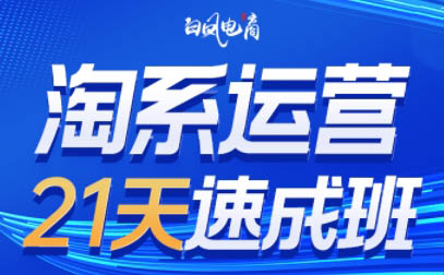 白凤电商·淘系运营21天速成班(更新4月)-独家科技资源网