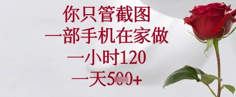 你只管截图，一部手机在家可以做，一小时120.一天5张+【揭秘】-独家科技资源网