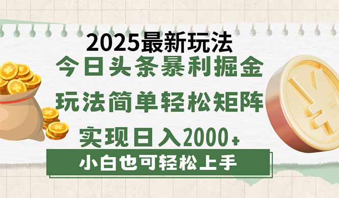 今日头条2025最新玩法，思路简单，复制粘贴，轻松实现矩阵日入2000+-独家科技资源网