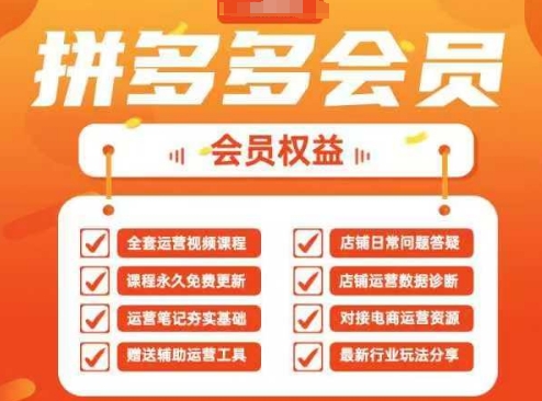 2025拼多多运营实战课，40节全流程教学，覆盖拼多多运营全链路-独家科技资源网