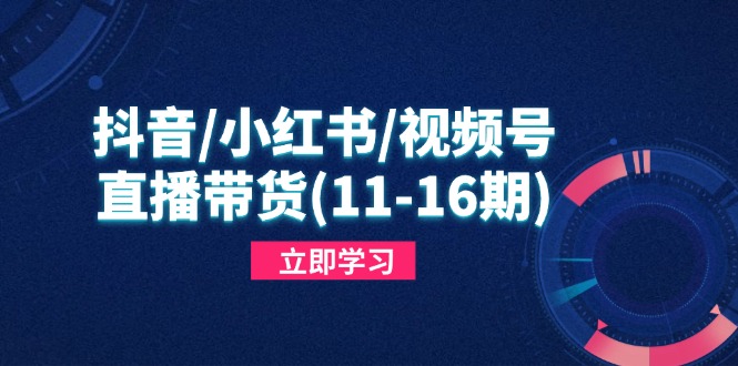 抖音/小红书/视频号/直播带货(11-16期-独家科技资源网
