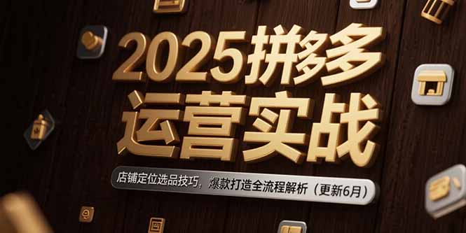 2025拼多多运营实战：店铺定位选品技巧，爆款打造全流程解析(更新6月-独家科技资源网