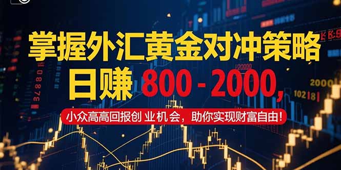 掌握外汇黄金对冲策略，日赚 800 - 2000，小众高回报创业机会，助你实...-独家科技资源网