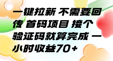 一键拉新 不需要回传 首码项目 接个验证码就算完成 一小时收益70+【揭秘】-独家科技资源网