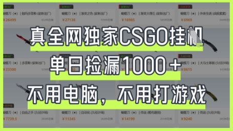 真全网独家CSGO挂G，单日捡漏1k+【揭秘】-独家科技资源网