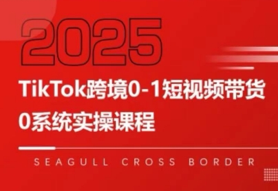 大亿老师·TikTok跨境0-1短视频带货-独家科技资源网