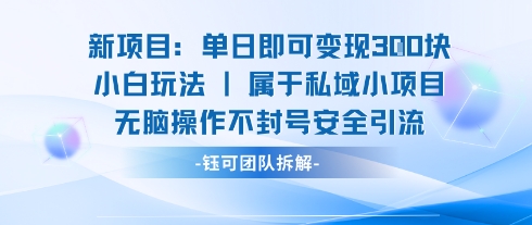 新项目单日即可变现3张的小白玩法无脑操作不封号安全引流-独家科技资源网
