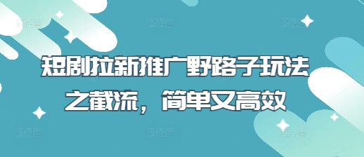 短剧拉新推广野路子玩法之截流，简单又高效-独家科技资源网
