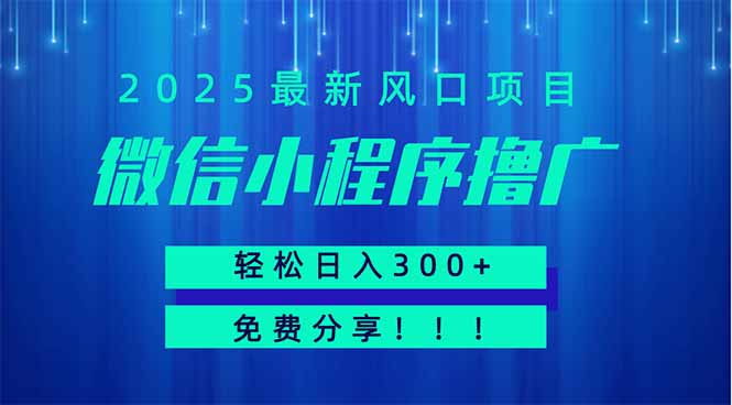 微信小程序撸广，最新风口项目，日入300+ 免费分享 可批量操作 小白可…-独家科技资源网