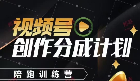 视频号创作分成计划陪跑训练营，手把手教会你如何制作视频，细水长流型项目-独家科技资源网