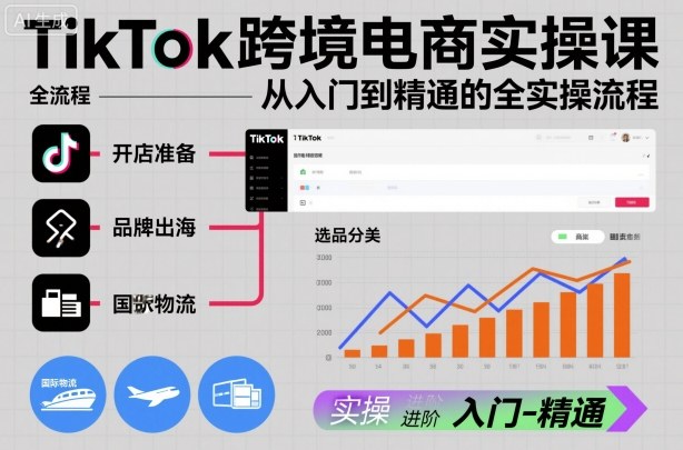 TikTok跨境电商实操课,从入门到精通的全实操流程-独家科技资源网