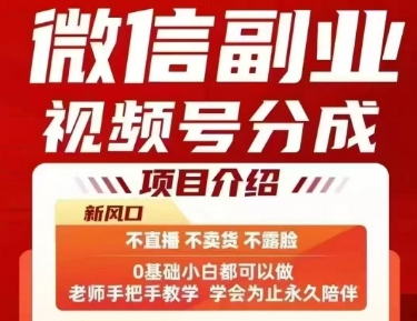 微信副业视频号分成，不直播 不卖货 不露脸，三五分钟即可完成一条作，每日收益几十、几张不等-独家科技资源网