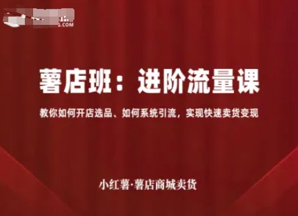 小红薯薯店商城卖货，进阶流量课，教你如何开店选品、如何系统引流，实现快速卖货变现-独家科技资源网