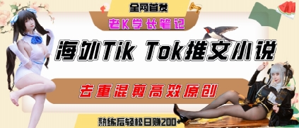 海外tiktok小说推文暴力项目，高停留率，高转化率，上手后一天搞顿饭钱不是问题-独家科技资源网