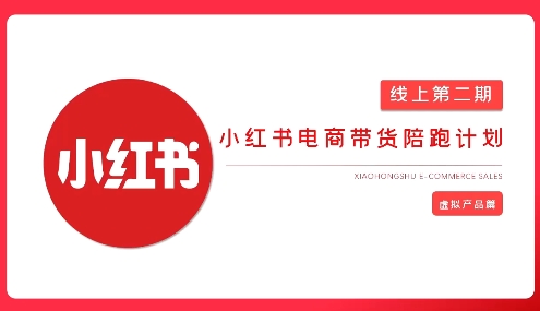 2025小红书虚拟电商实战课-独家科技资源网